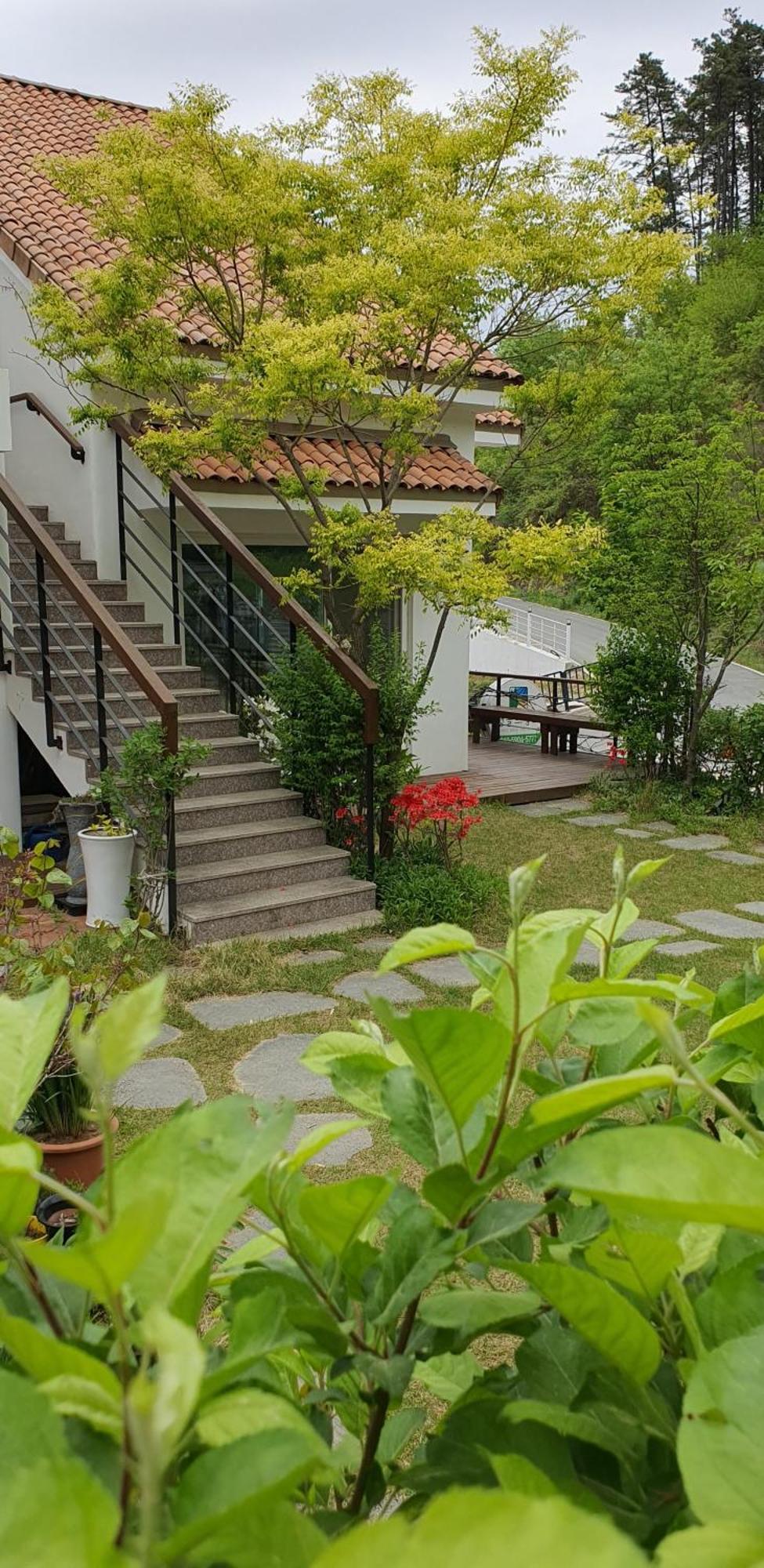 Вилла Saint Paul De Vence Тамян Номер фото